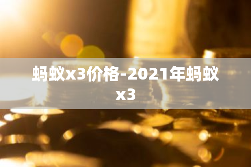 蚂蚁x3价格-2021年蚂蚁x3