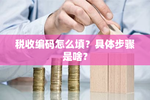 税收编码怎么填？具体步骤是啥？