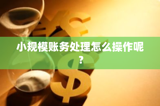 小规模账务处理怎么操作呢？