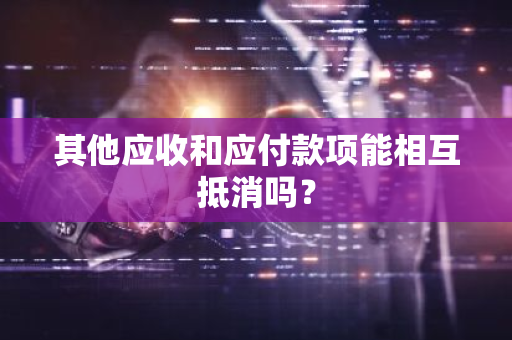 其他应收和应付款项能相互抵消吗？