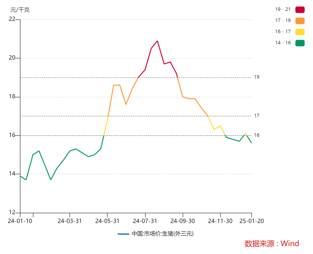 去年猪价呈“倒V”走势、猪企纷纷扭亏为盈，今年猪市行情如何走？