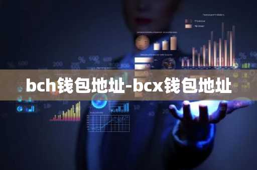 bch钱包地址-bcx钱包地址