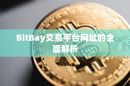 BitBay交易平台网址的全面解析