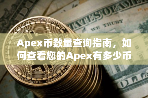 Apex币数量查询指南，如何查看您的Apex有多少币