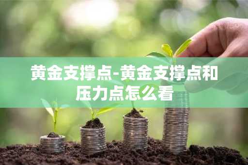 黄金支撑点-黄金支撑点和压力点怎么看