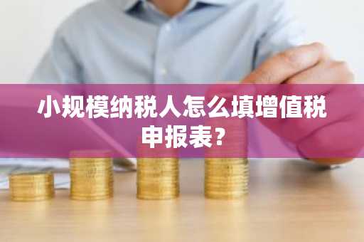 小规模纳税人怎么填增值税申报表？