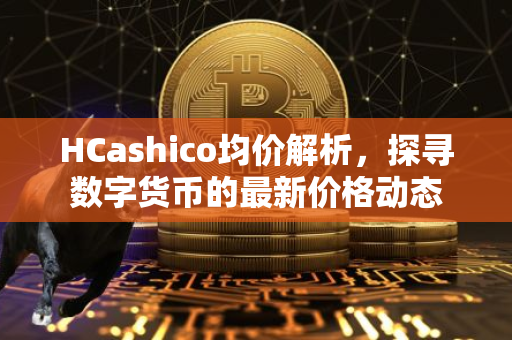 HCashico均价解析，探寻数字货币的最新价格动态