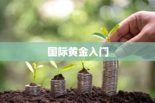 国际黄金入门