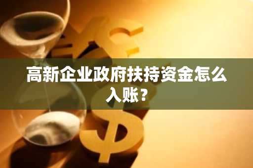 高新企业政府扶持资金怎么入账？