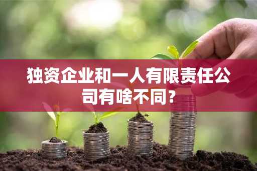 独资企业和一人有限责任公司有啥不同？