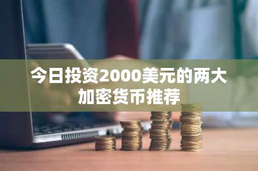 今日投资2000美元的两大加密货币推荐