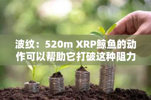 波纹：520m XRP鲸鱼的动作可以帮助它打破这种阻力吗？