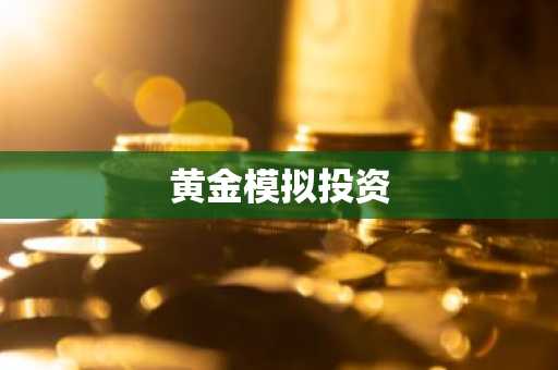 黄金模拟投资