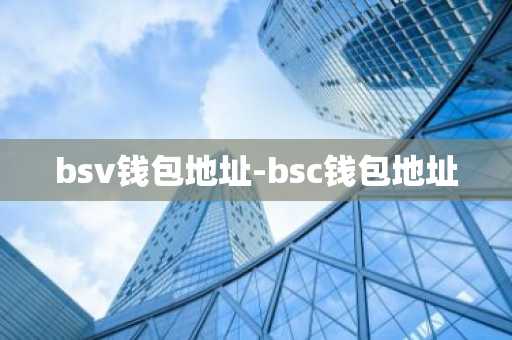 bsv钱包地址-bsc钱包地址