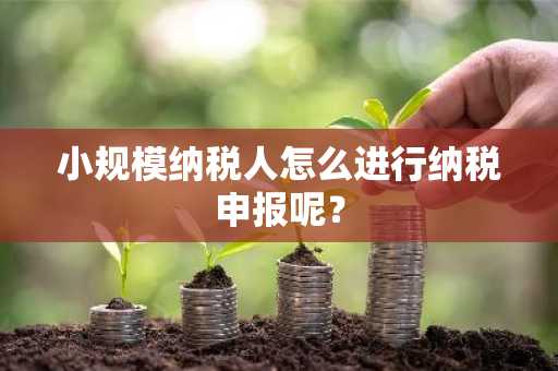 小规模纳税人怎么进行纳税申报呢？