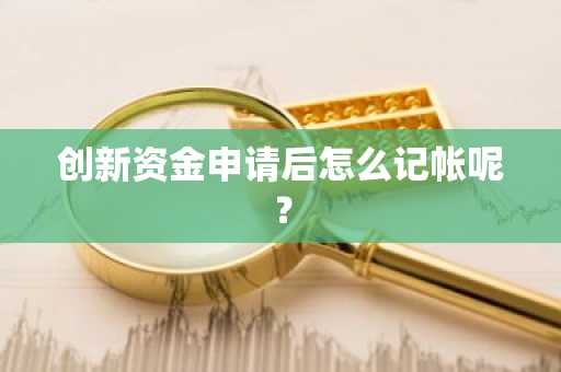 创新资金申请后怎么记帐呢？