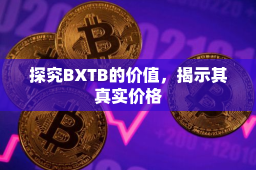 探究BXTB的价值，揭示其真实价格