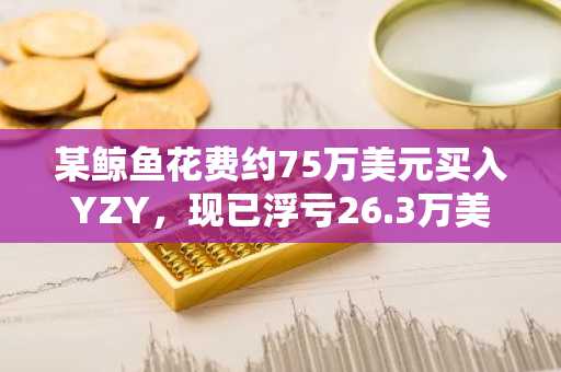 某鲸鱼花费约75万美元买入YZY，现已浮亏26.3万美元