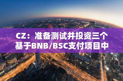 CZ：准备测试并投资三个基于BNB/BSC支付项目中的一个