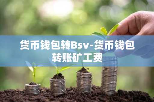 货币钱包转Bsv-货币钱包转账矿工费