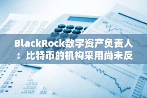 BlackRock数字资产负责人：比特币的机构采用尚未反映在价格中