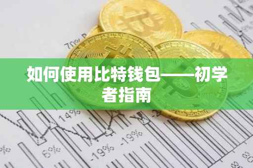 如何使用比特钱包——初学者指南