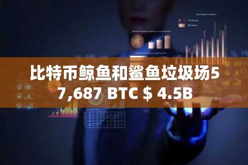 比特币鲸鱼和鲨鱼垃圾场57,687 BTC $ 4.5B