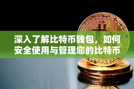 深入了解比特币钱包，如何安全使用与管理您的比特币资产