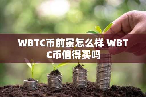 WBTC币前景怎么样 WBTC币值得买吗