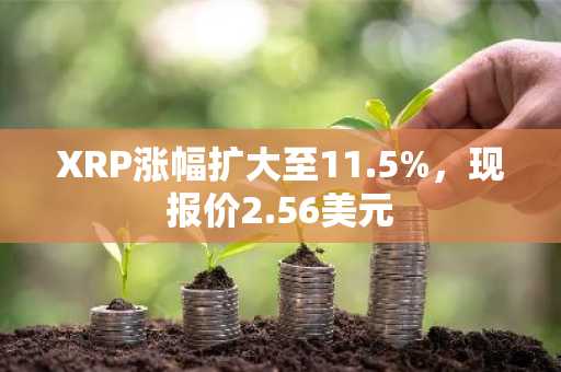 XRP涨幅扩大至11.5%，现报价2.56美元