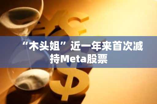 “木头姐”近一年来首次减持Meta股票