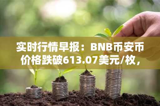 实时行情早报：BNB币安币价格跌破613.07美元/枚，日内跌-1.01%