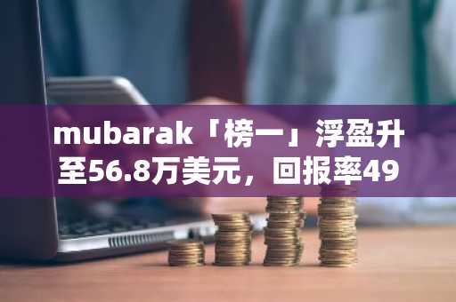 mubarak「榜一」浮盈升至56.8万美元，回报率493倍