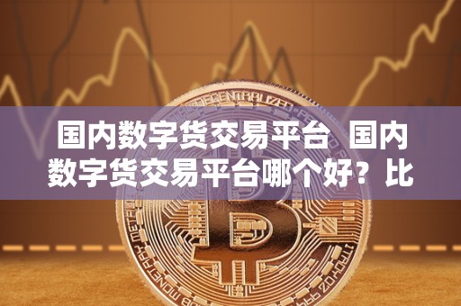 国内数字货交易平台  国内数字货交易平台哪个好？比较国内数字货交易平台的优劣