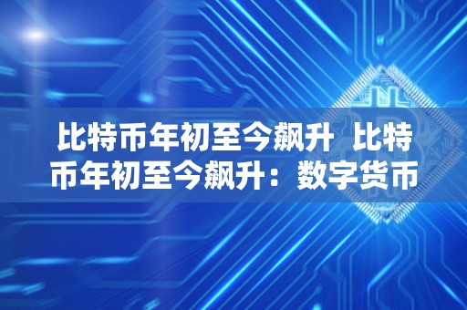 比特币年初至今飙升  比特币年初至今飙升：数字货币市场的新风向标
