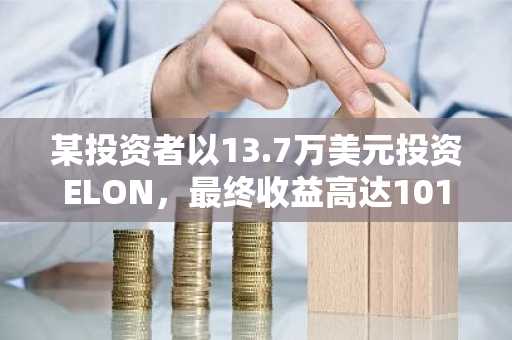 某投资者以13.7万美元投资ELON，最终收益高达101.5万美元