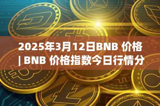 2025年3月12日BNB 价格 | BNB 价格指数今日行情分享