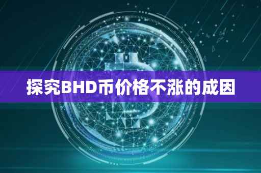 探究BHD币价格不涨的成因