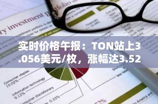 实时价格午报：TON站上3.056美元/枚，涨幅达3.52%