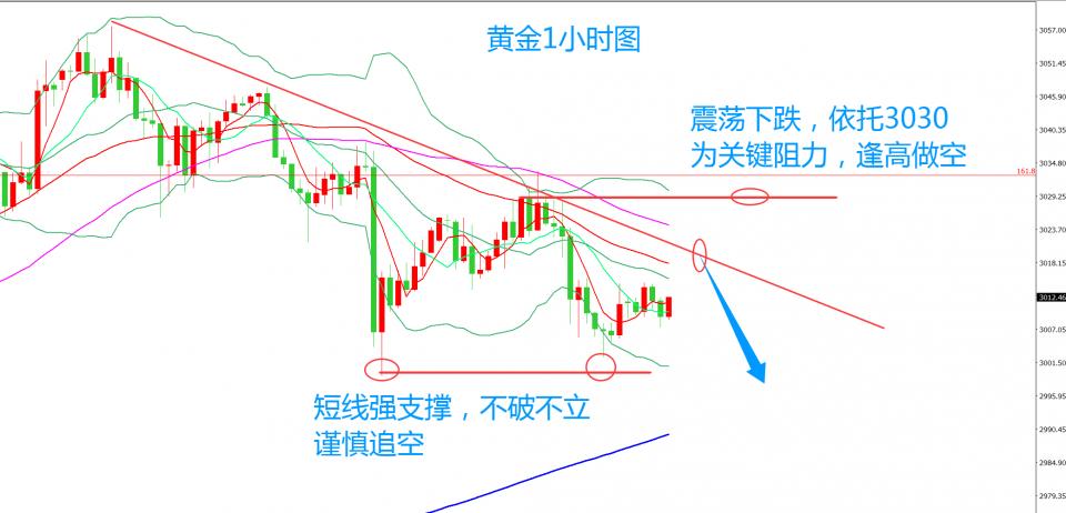 齐仲龙：黄金，如期回调