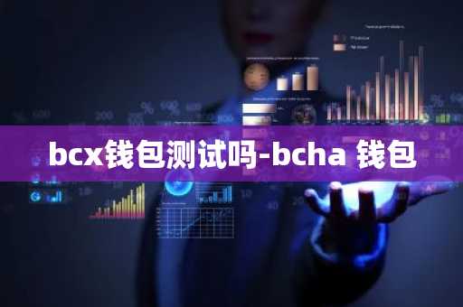 bcx钱包测试吗-bcha 钱包