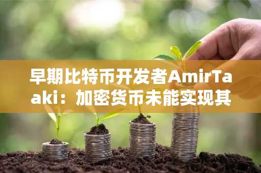 早期比特币开发者AmirTaaki：加密货币未能实现其愿景