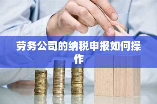 劳务公司的纳税申报如何操作