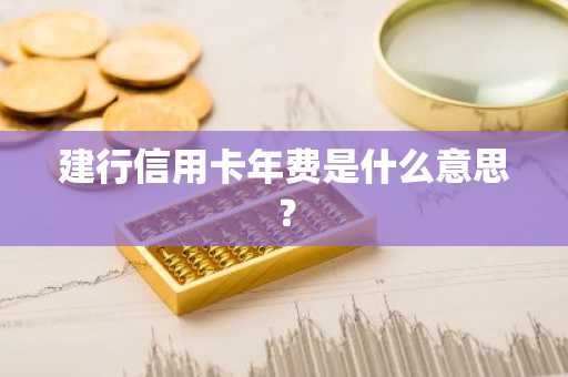 建行信用卡年费是什么意思？