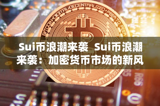 Sui币浪潮来袭 Sui币浪潮来袭:加密货币市场的新风向 Sui币浪潮来袭 Sui币浪潮来袭:加密货币市场的新风向