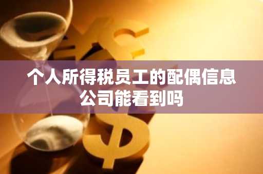 个人所得税员工的配偶信息公司能看到吗