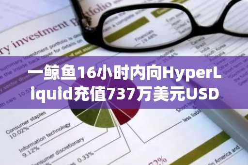 一鲸鱼16小时内向HyperLiquid充值737万美元USDC，并买入40万枚HYPE