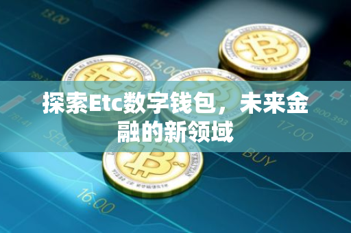 探索Etc数字钱包，未来金融的新领域