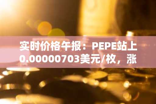 实时价格午报：PEPE站上0.00000703美元/枚，涨幅达3.08%