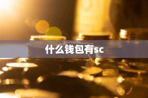 什么钱包有sc